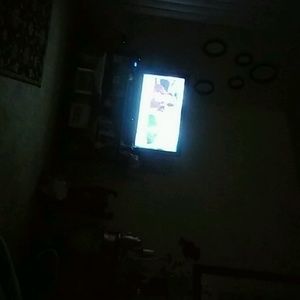 Meet your Posher, Willie